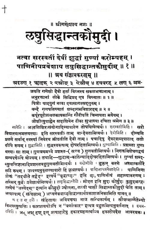 Laghusiddhantakaumudi Sudha Sanskrit tika